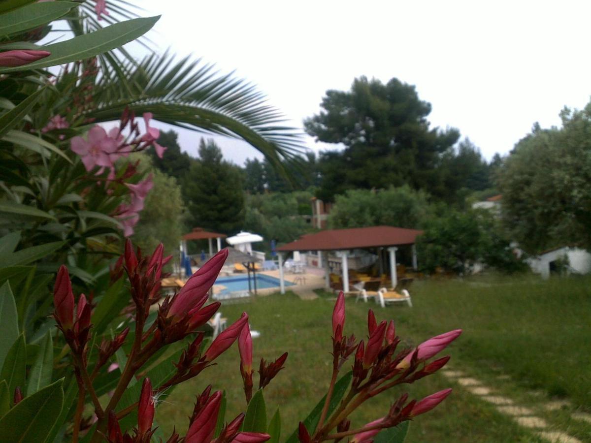 Villa Askamnia And Suites Nikiti  Ngoại thất bức ảnh
